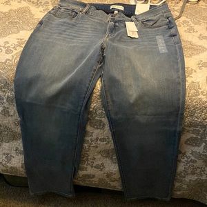 Lane Bryant jeans NWT 20